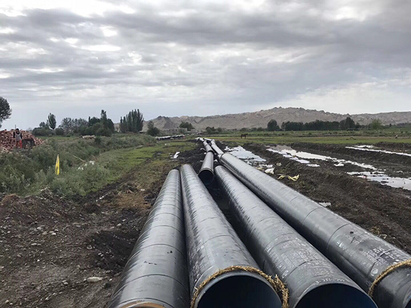 91视频大全黄色