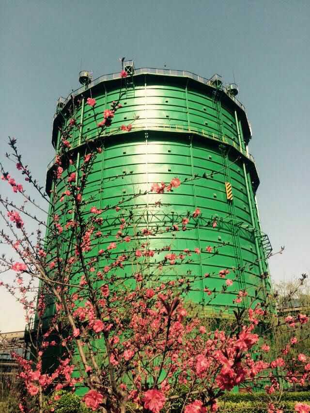 91视频大全黄色 91视频大全黄色