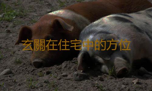 玄關在住宅中的方位