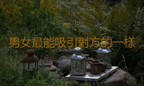 男女最能吸引對方的一樣東西