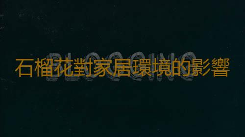 石榴花對家居環境的影響