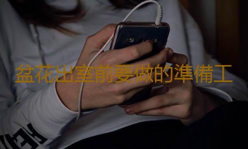 盆花出室前要做的準備工作