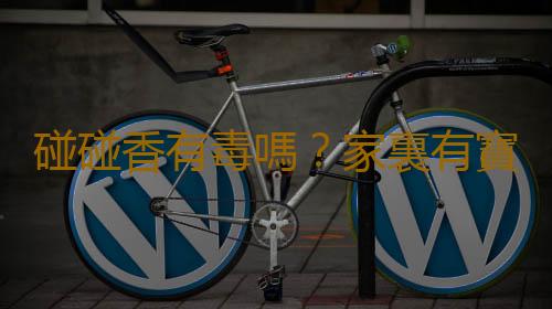 碰碰香有毒嗎？家裏有寶寶能養碰碰香嗎？