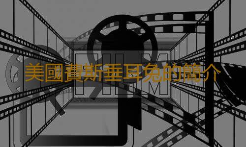 美國費斯垂耳兔的簡介