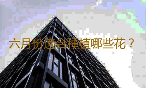 六月份適合種植哪些花？
