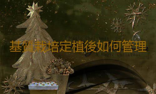 基質栽培定植後如何管理？