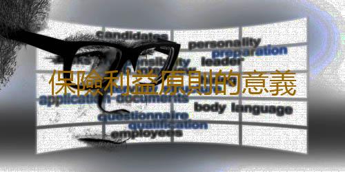 保險利益原則的意義