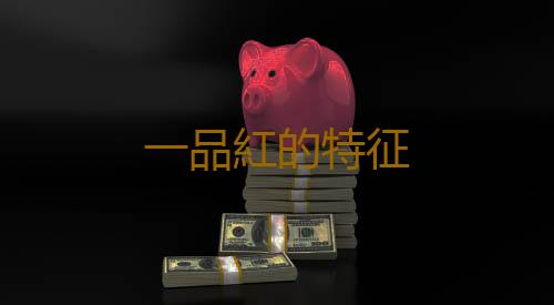 一品紅的特征