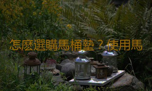 怎麽選購馬桶墊？使用馬桶的注意事項