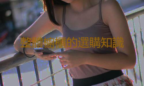 整體櫥櫃的選購知識