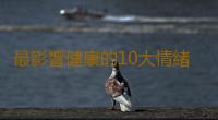 最影響健康的10大情緒