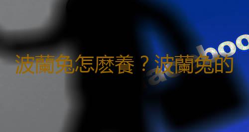 波蘭兔怎麽養？波蘭兔的簡介