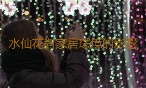 水仙花對家居環境的影響