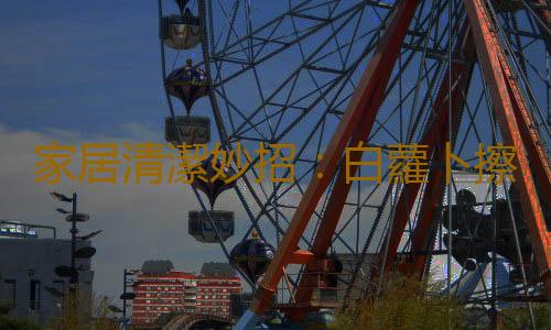 家居清潔妙招：白蘿卜擦料理台