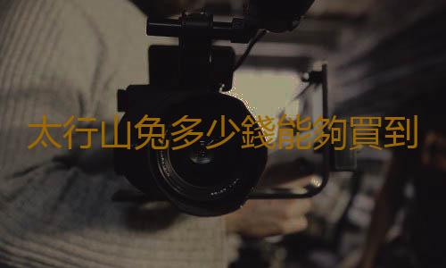 太行山兔多少錢能夠買到？
