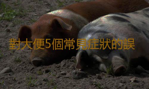 對大便5個常見症狀的誤解