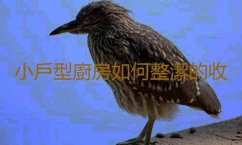 小戶型廚房如何整潔的收納餐具？