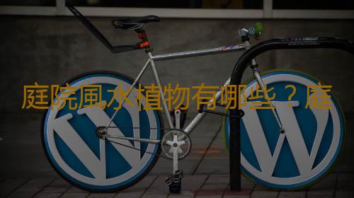 庭院風水植物有哪些？庭院風水設計要點