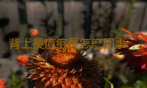 背上長痘痘是怎麽回事 背上長痘痘怎麽辦