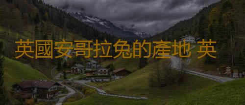 英國安哥拉兔的產地 英國安哥拉兔的來源