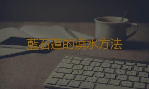藍石蓮的澆水方法