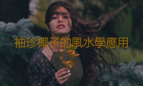 袖珍椰子的風水學應用