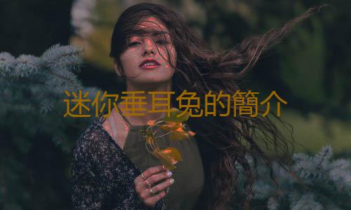 迷你垂耳兔的簡介