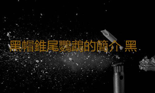 黑帽錐尾鸚鵡的簡介 黑帽錐尾鸚鵡的產地